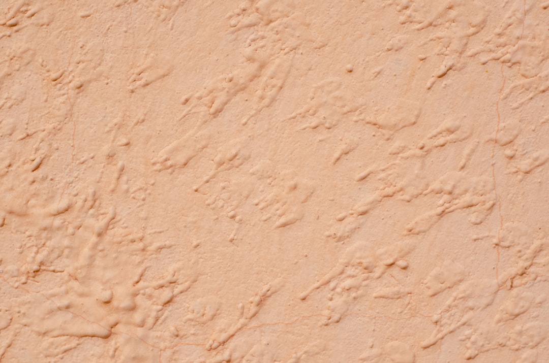 Pourquoi choisir pleisterwerkenaguilera.com pour vos travaux de plâtre